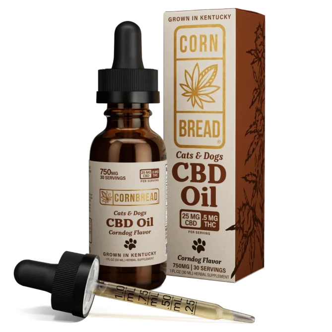 cbd for dogs